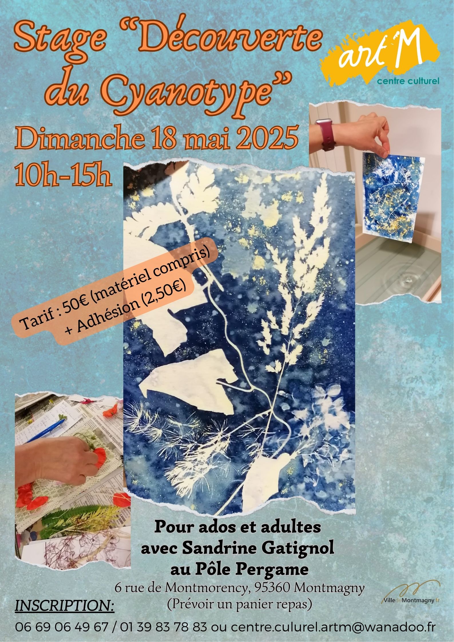 Stage Cyanotype mai